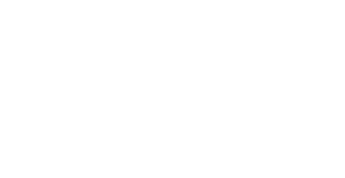 IEEE International Conference